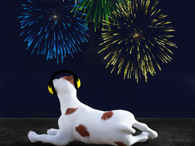 how to calm down dog during fireworks philadelphia pa