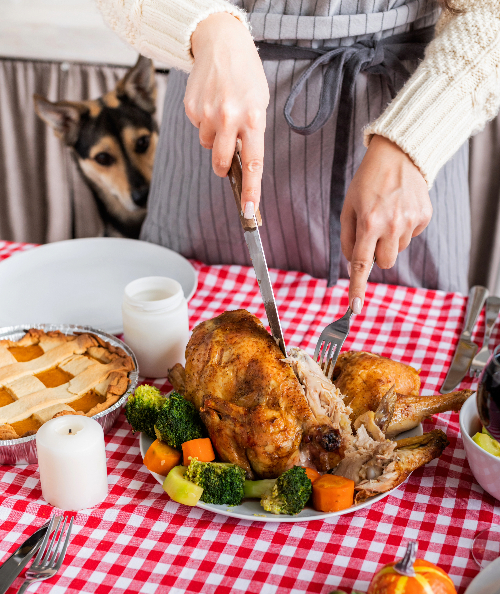 dog-watching-owner-carve-thanksgiving-turkey